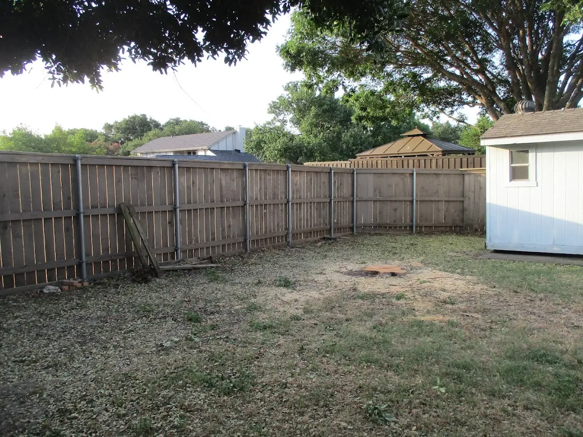 Cleared yard after professional tree removal in South Wilmington